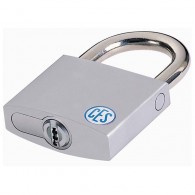 CES 810 RE Hangschloss