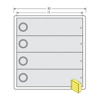 RENZ Tastenmodul RSA2 kompakt