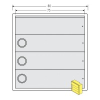 RENZ Tastenmodul RSA2 kompakt