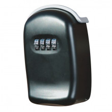 Phoenix Safe Mini Safe
